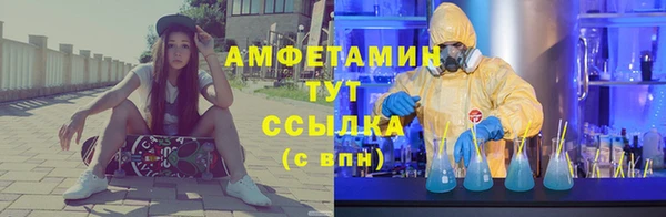 гидра Белокуриха