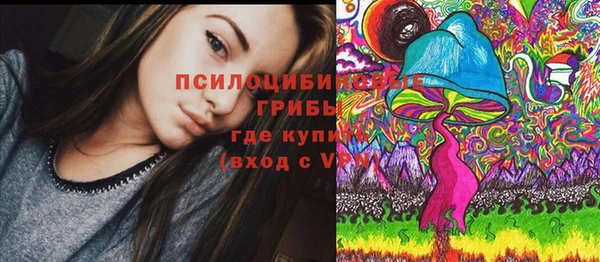 гидра Белокуриха