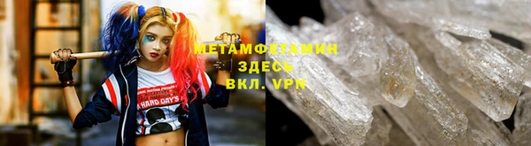 гидра Белокуриха