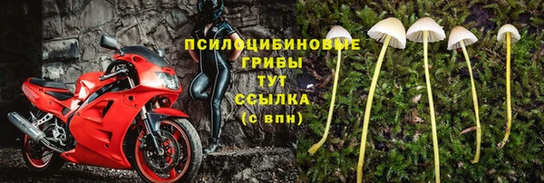 соль ск Беломорск