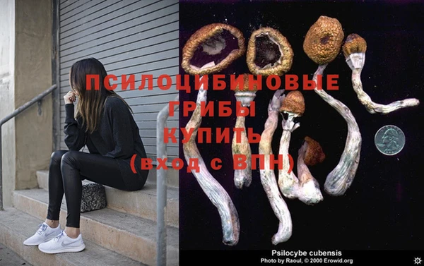 гидра Белокуриха