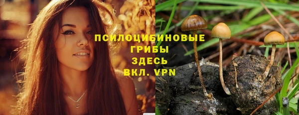 соль ск Беломорск