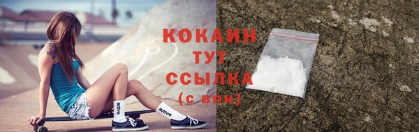гидра Белокуриха
