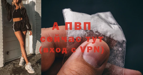 соль ск Беломорск